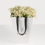 حقيبة البابونج