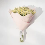 باقة البابونج