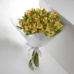 الستروميريا الأصفر